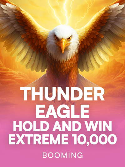 Game card image for Thunder Eagle Hold and Win Extreme 10,000