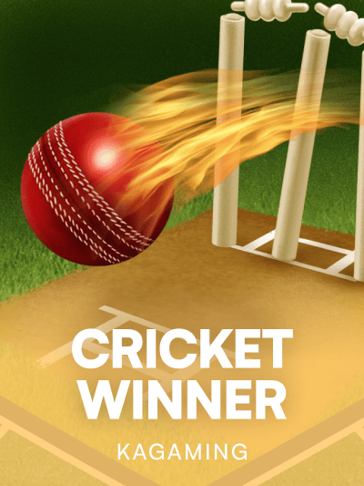 Game card image for Cricket Winner