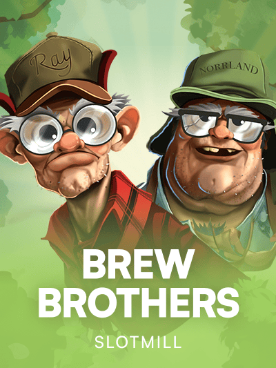 Game card image for Brew Brothers