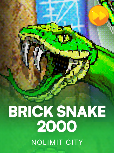 Game image for BRICK SNAKE 2000