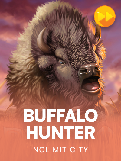 Game image for Buffalo Hunter