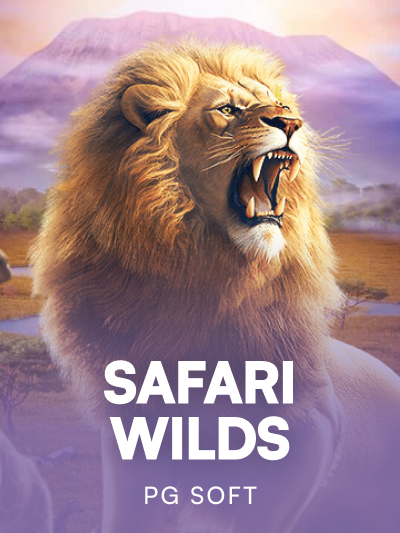 Game card image for Safari Wilds