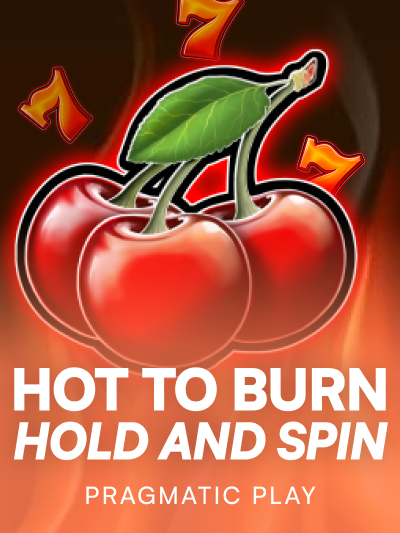 Game image for Hot to Burn Hold and Spin